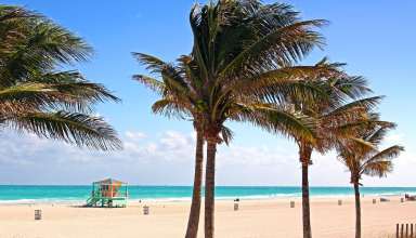 Amerika Şehirleri Miami